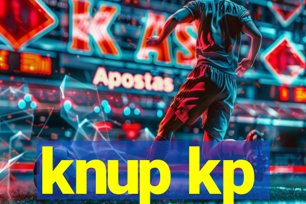 knup kp-t89 driver
